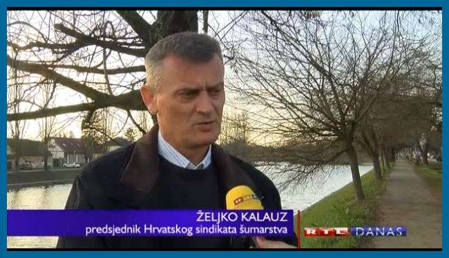 Hrvatske šume moraju vratiti na posao 20-ak radnika
